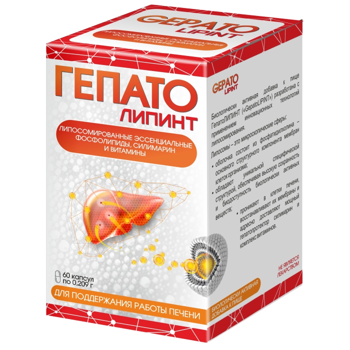 Гепатолипинт, 209 мг, капсулы, 60 шт. фото