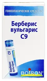 Берберис вульгарис С9, гранулы гомеопатические, 4 г, 1 шт. фото