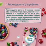 Фрутоняня морс из ягод, 200 мл, 1 шт, клюква + черника + вишня фото 5