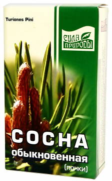 Наследие природы Сосны почки, фиточай, 50 г, 1 шт. фото