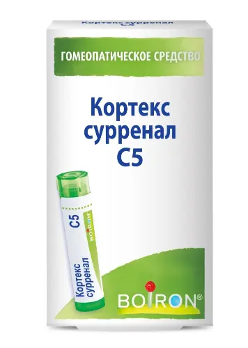 Кортекс сурренал C5, гранулы гомеопатические, 4 г, 1 шт. фото