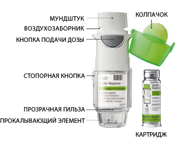 Инструкция по применению Спиолто Респимат, 2.5 мкг+2.5 мкг/доза, раствор для ингаляций дозированный, в комплекте с ингалятором Респимат, 4 мл, 1 шт. - схема 1