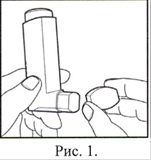 Инструкция по применению Ипратропиум-аэронатив, 20 мкг/доза, 200 доз, аэрозоль для ингаляций дозированный, 1 шт. - схема 1