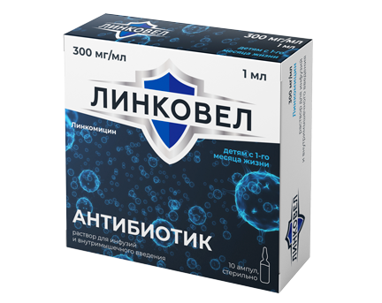 ЛинкоВел, 300 мг/мл, раствор для инфузий и внутримышечного введения, 1 мл, 10 шт. фото