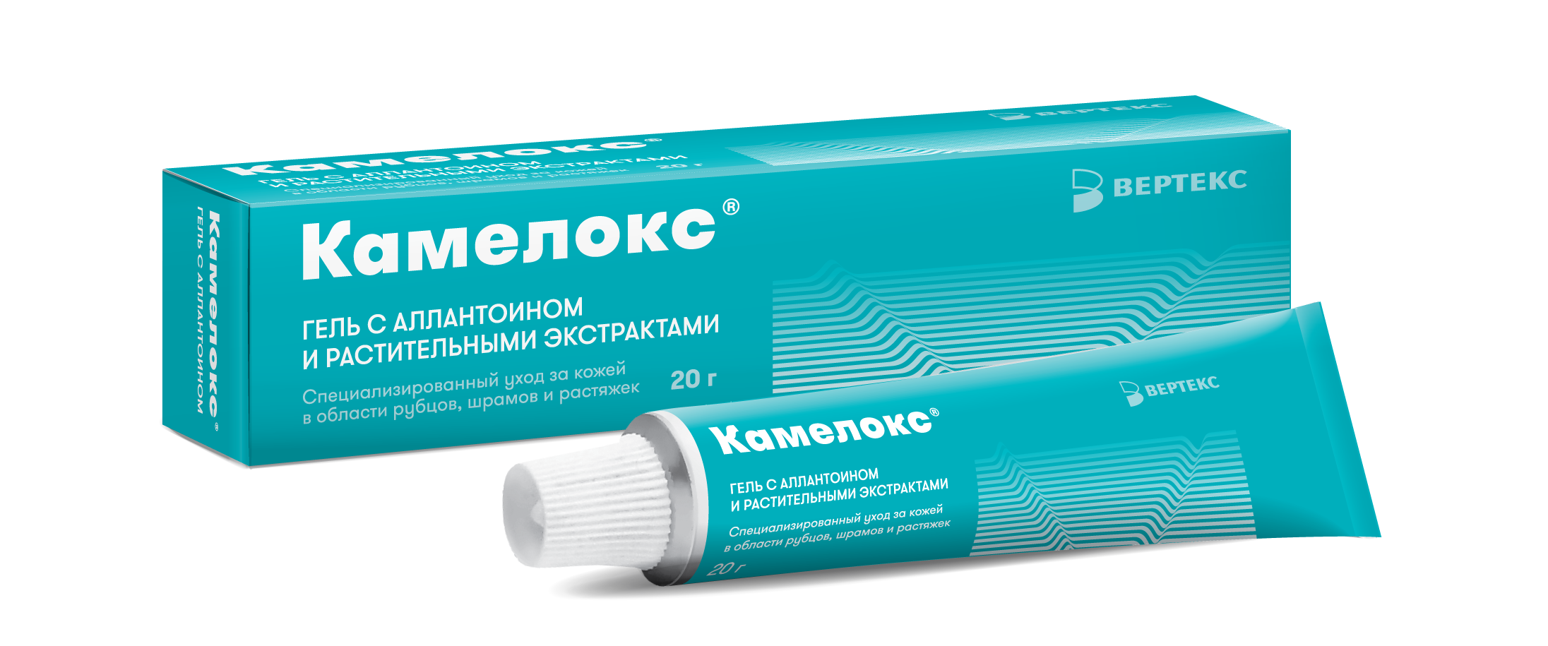 Камелокс гель с растительными экстрактами и аллантоином, гель для наружного применения, 20 г, 1 шт. фото