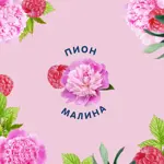 Le Petit Marseillais Гель для душа Малина и пион, гель для душа, 250 мл, 1 шт. фото 2