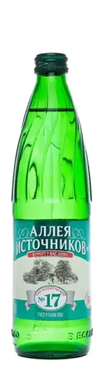 Аллея Источников №17 Вода минеральная газированная, вода минеральная, 0.5 л, 1 шт, в стеклянной бутылке фото