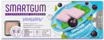 Smartgum жевательная резинка против укачивания, жевательная резинка, 10 шт, имбирь + черная смородина фото