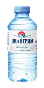 Пилигрим Вода  минеральная питьевая негазированная, вода питьевая негазированная, 250 мл, 1 шт. фото
