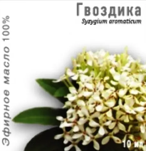 Масло эфирное Гвоздика, масло эфирное, 10 мл, 1 шт. фото