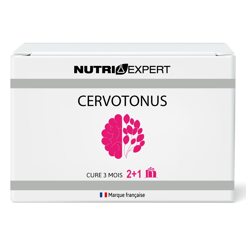 NutriExpert Cervotonus для памяти и лучшей концентрации, капсулы, 180 шт. фото
