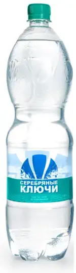 Серебряные ключи вода минеральная, 0.5л, 1 шт, негазированная фото