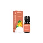 Здравсити Масло эфирное Иланг-иланг, масло эфирное, 10 мл, 1 шт. фото 