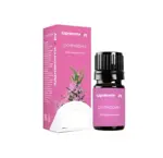 Здравсити Масло эфирное Розмарин, масло эфирное, 10 мл, 1 шт. фото