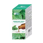 Лориотабс, сироп, 150 мл, 1 шт, ментол фото