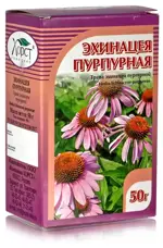 Эхинацеи пурпурной трава, фиточай, 1.5 г, 20 шт. фото