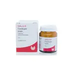 Силицея комп, гранулы гомеопатические, 10 г, 1 шт. фото