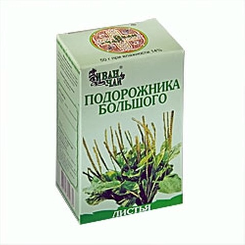 Подорожника большого листья, сырье растительное измельченное, 50 г, 1 шт. фото