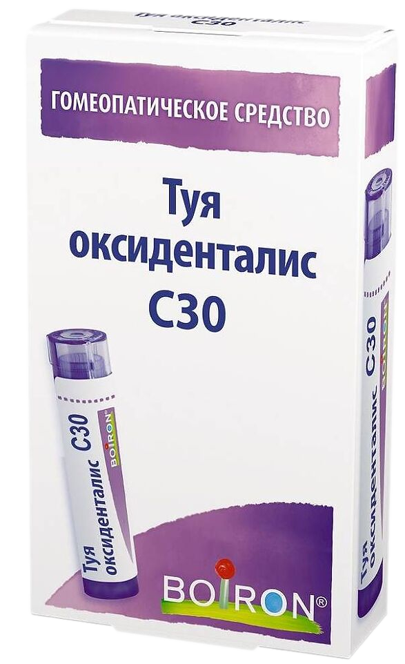 Туя оксиденталис C30, гранулы гомеопатические, 4 г, 1 шт. фото