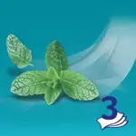 Zewa Deluxe платки носовые бумажные ментол, 100 шт, с ментолом, 10х10 фото 4