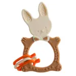 Roxy-kids Прорезыватель универсальный Заяц, 3+ мес, 1 шт, цвет в ассортименте Roxy-kids Прорезыватель универсальный Заяц, 3+ мес, 1 шт, цвет в ассортименте фото 5