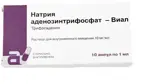 Натрия аденозинтрифосфат-Виал, 10 мг/мл, раствор для внутривенного введения, 1 мл, 10 шт. фото