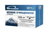 Мумие очищенное Югмедфарм, 550 мг, капсулы, 60 шт. фото
