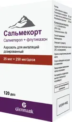 Сальмекорт, 25 мкг + 250 мкг/доза, аэрозоль для ингаляций дозированный, 1 шт, 120 доз фото