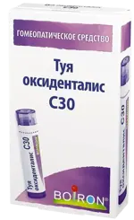 Туя оксиденталис C30, гранулы гомеопатические, 4 г, 1 шт. фото